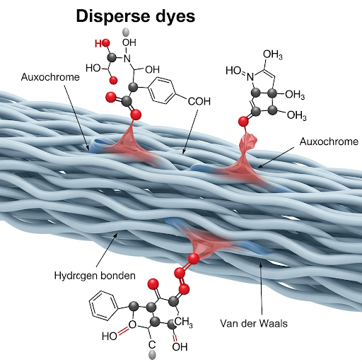 Detailed depiction of the "solid solution" dyeing mechanism of disperse dyes.